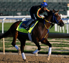 2023 West Virginia Derby Preview & FREE Picks | Lord Miles At Mountaineer Looking For 2nd Stakes Win