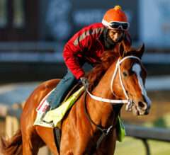 Mage Gallops Saturday Before Heading To Pimlico | 2023 Preakness Stakes News