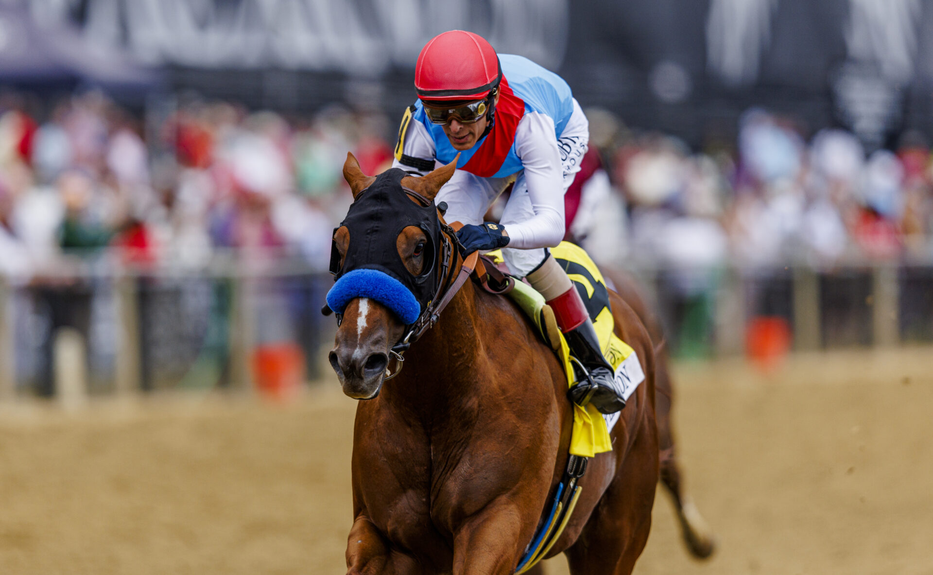 2023 Woody Stephens Stakes Preview & FREE Picks Arabian Lion Steps Up In Class At Belmont Park