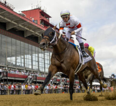 2023 Amsterdam Stakes Preview & FREE Picks | Ryvit Rides 5-Race Win Streak Into Saratoga