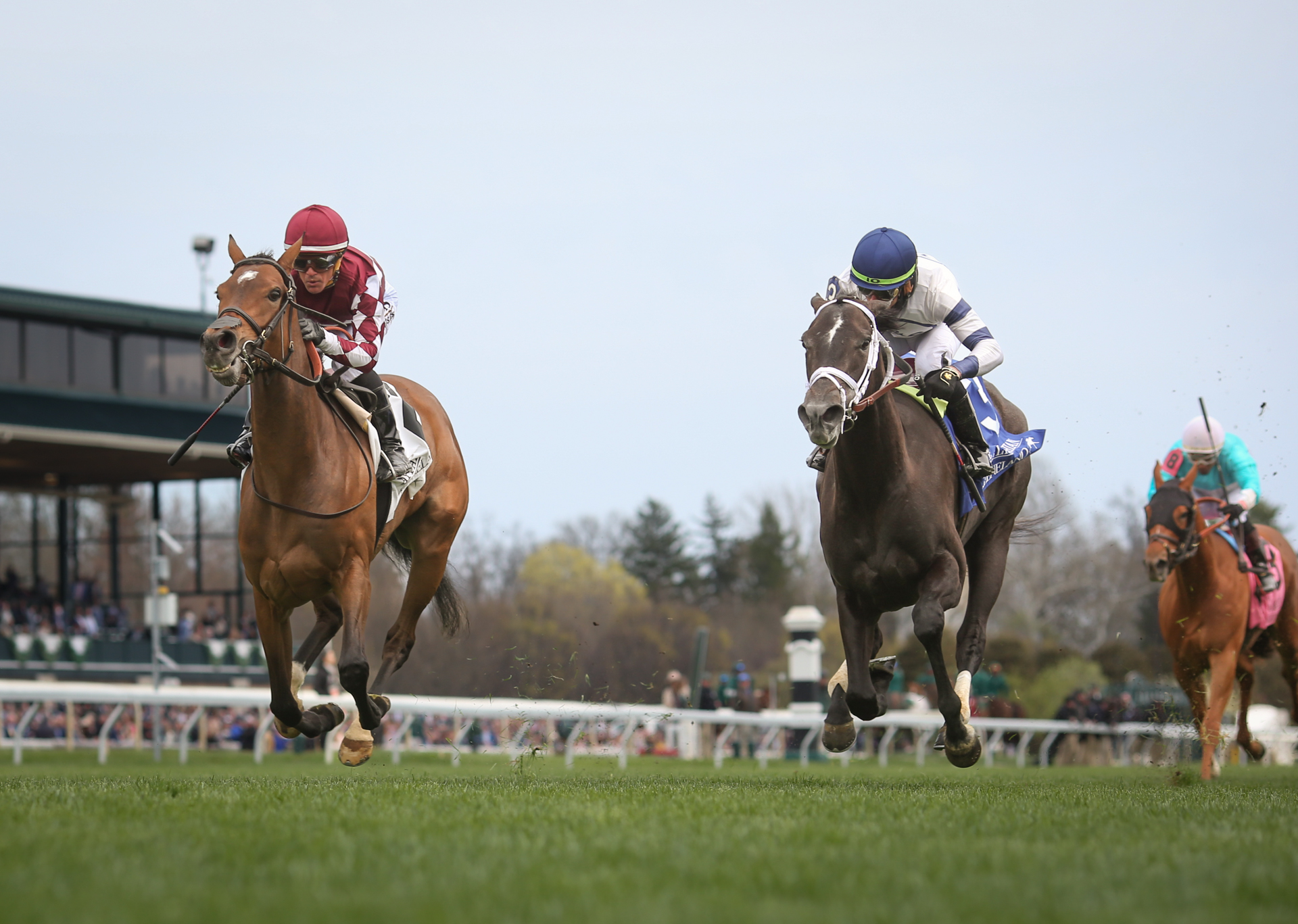 2023 Edgewood Stakes Preview & FREE Picks Papilio, Cairo Consort