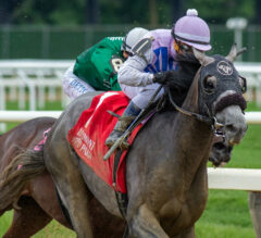 Will Arcangelo Become The Next Tonalist? Predicting A Peter Pan-Belmont Stakes Winning Double