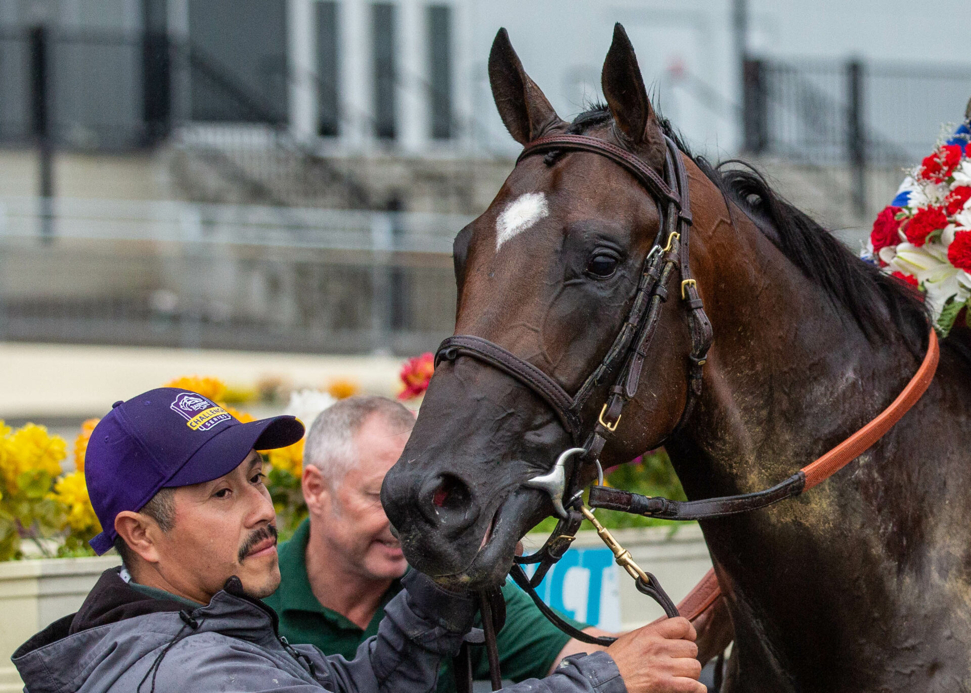 Chad Brown Blazing Sevens ‘As Good As I’ve Ever Seen Him’ 2023