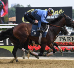 Blazing Sevens ‘Worked Super’ At Belmont Park | 2023 Preakness Stakes News