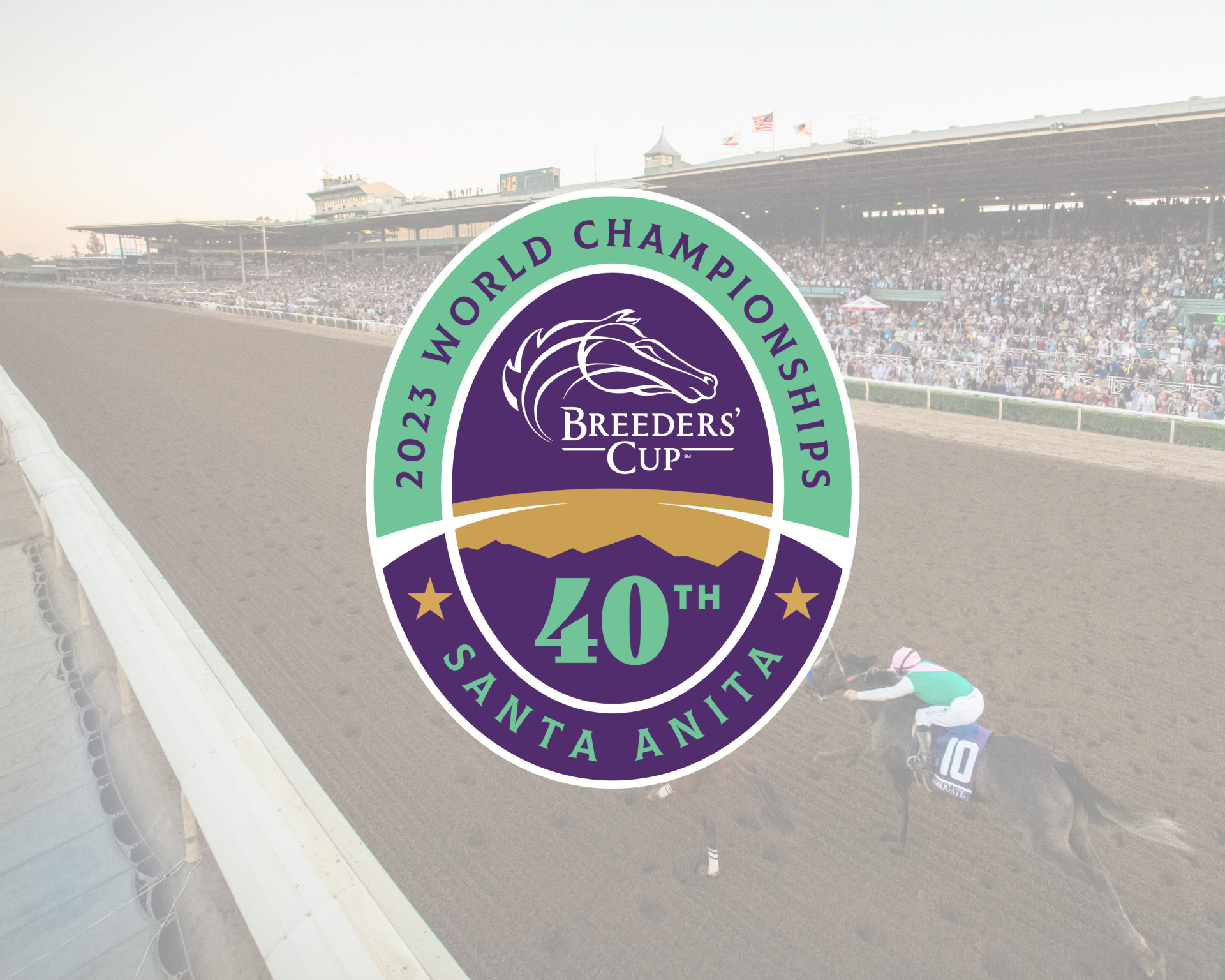 2023 Breeders' Cup Picks and Betting Predictions