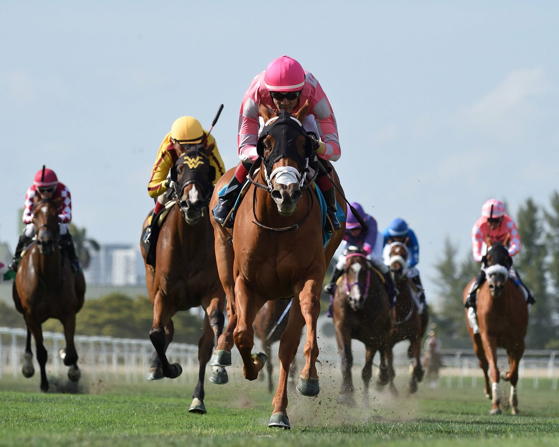 Gulfstream Picks Racing Dudes - mbi968a