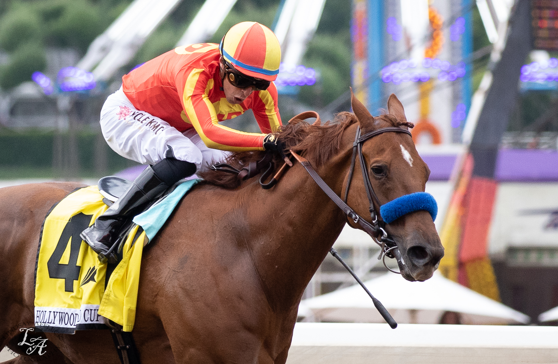 2023 San Diego Handicap Preview & FREE Picks Defunded Brings 2Race