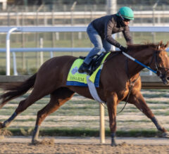 Can Disarm Parlay Strong Churchill Works Into Victory? | 2023 Kentucky Derby Contender Profile