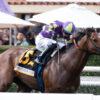 2023 Shoemaker Mile Stakes Replay | Exaulted Wins Berth To Breeders’ Cup Mile