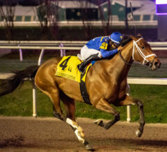 Fair Grounds Preview | Broussard Memorial Stakes 2023: The Alys Look Aims At 2nd Straight Win