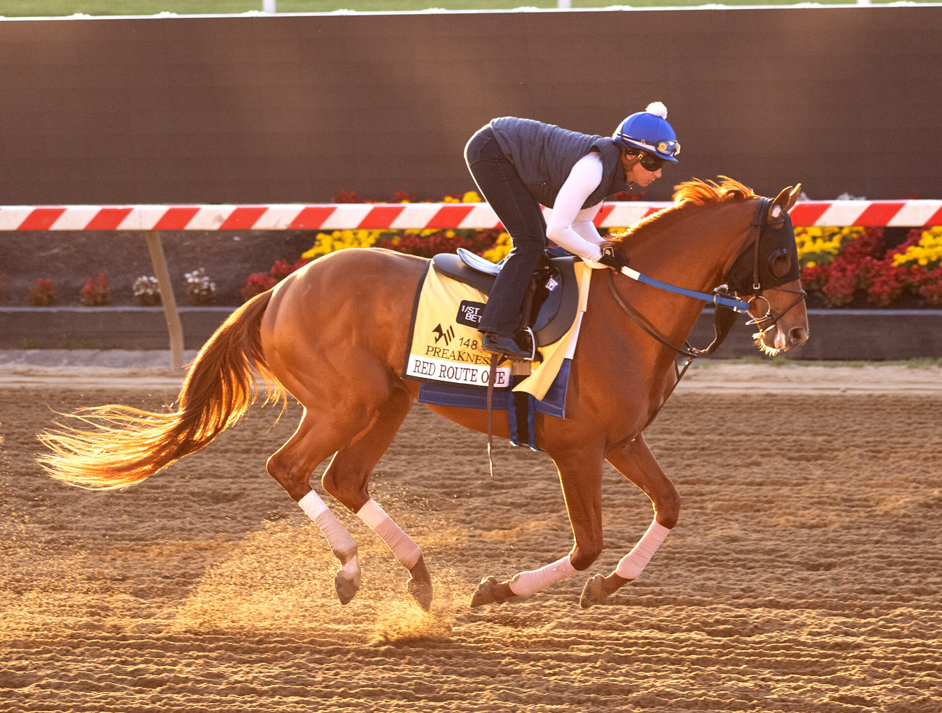 Route One Raceway Asmussen Likes Belmont Stakes Distance For Red Route One - Racing Dudes