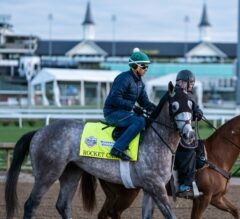 Will Rocket Can Adding Blinkers Lead To Improvement? | 2023 Kentucky Derby Contender Profile