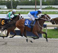 2023 Royal Palm Juvenile Fillies Stakes Preview & FREE Picks | She Has Class 1 Of 4 Florida-Bred Entries