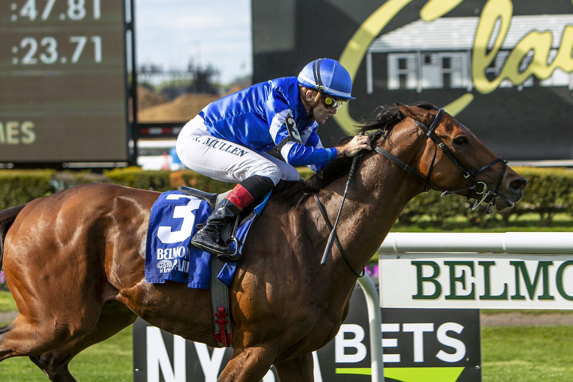 Churchill Downs Picks Arlington Stakes 2024 Racing Dudes