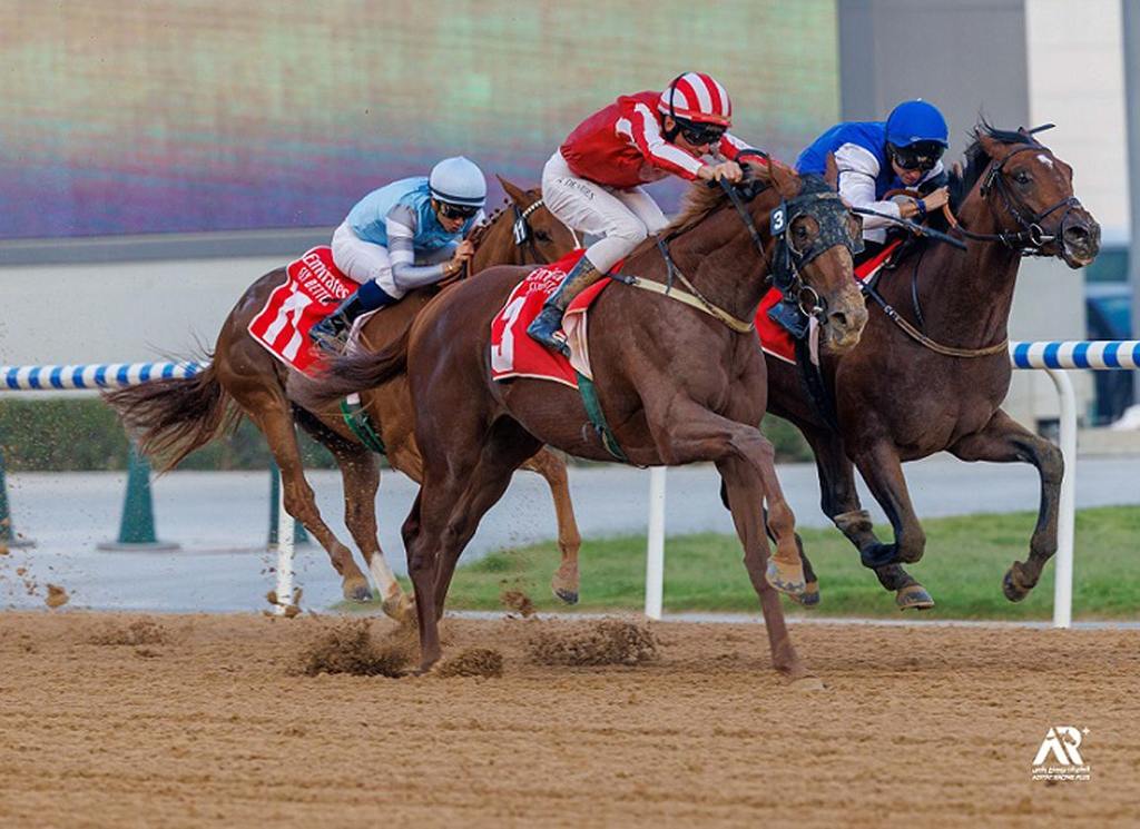 2023 Peter Pan Stakes Preview & FREE Picks Go Soldier Go Makes U.S