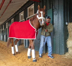 Kentucky Derby Hero Mage Arrives At Pimlico | 2023 Preakness Stakes News