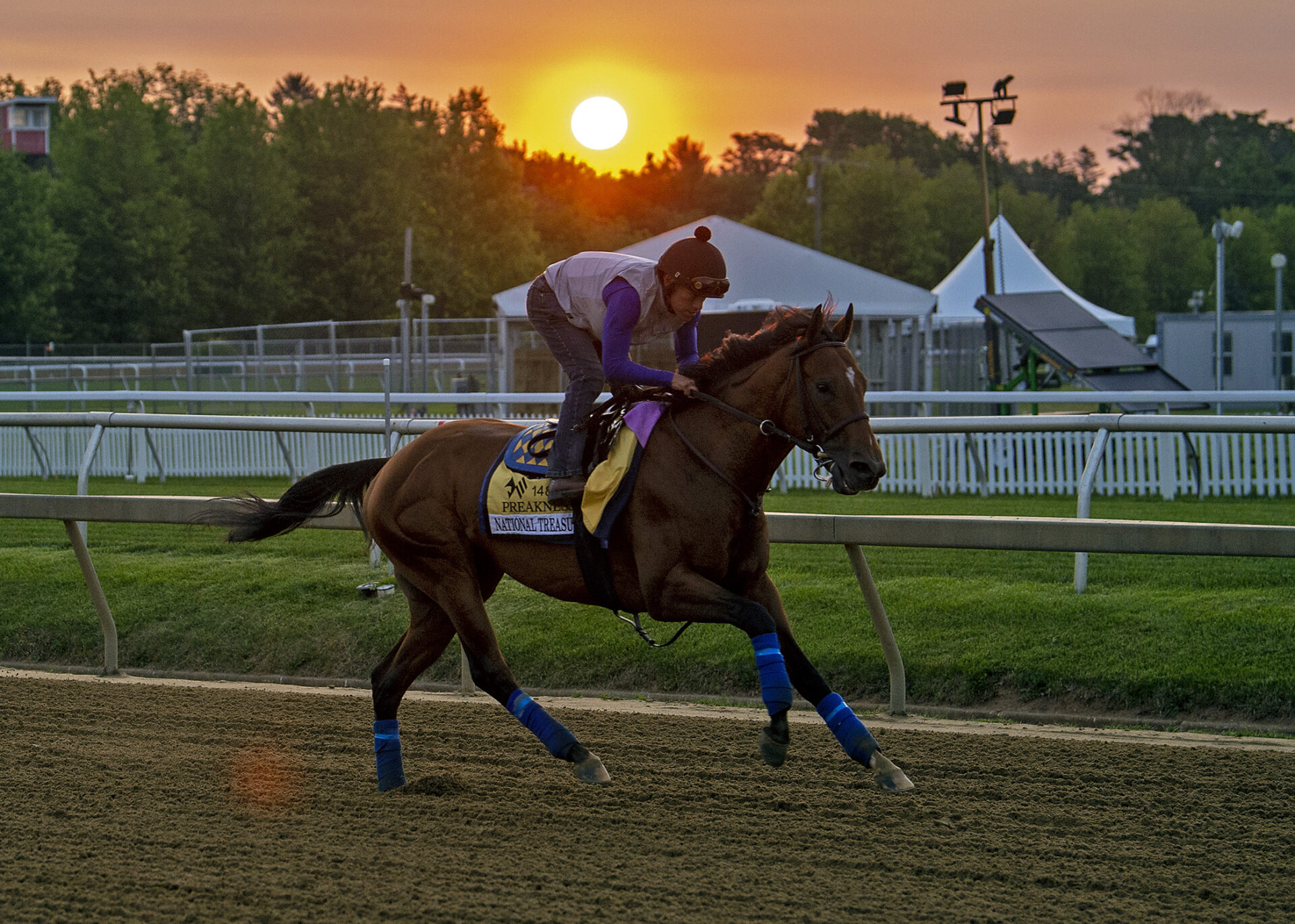 Bob Baffert Trying Different Formula For Success | 2023 Preakness ...