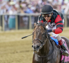 Belmont At The Big A Picks | Runhappy Stakes 2024