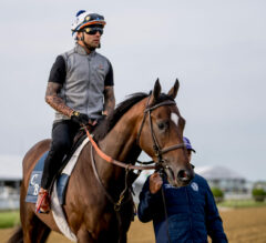 Blazing Sevens Gets Acquainted With Pimlico Surroundings | 2023 Preakness Stakes News