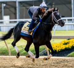 First Mission Scratched From Preakness 148 | 2023 Preakness Stakes News