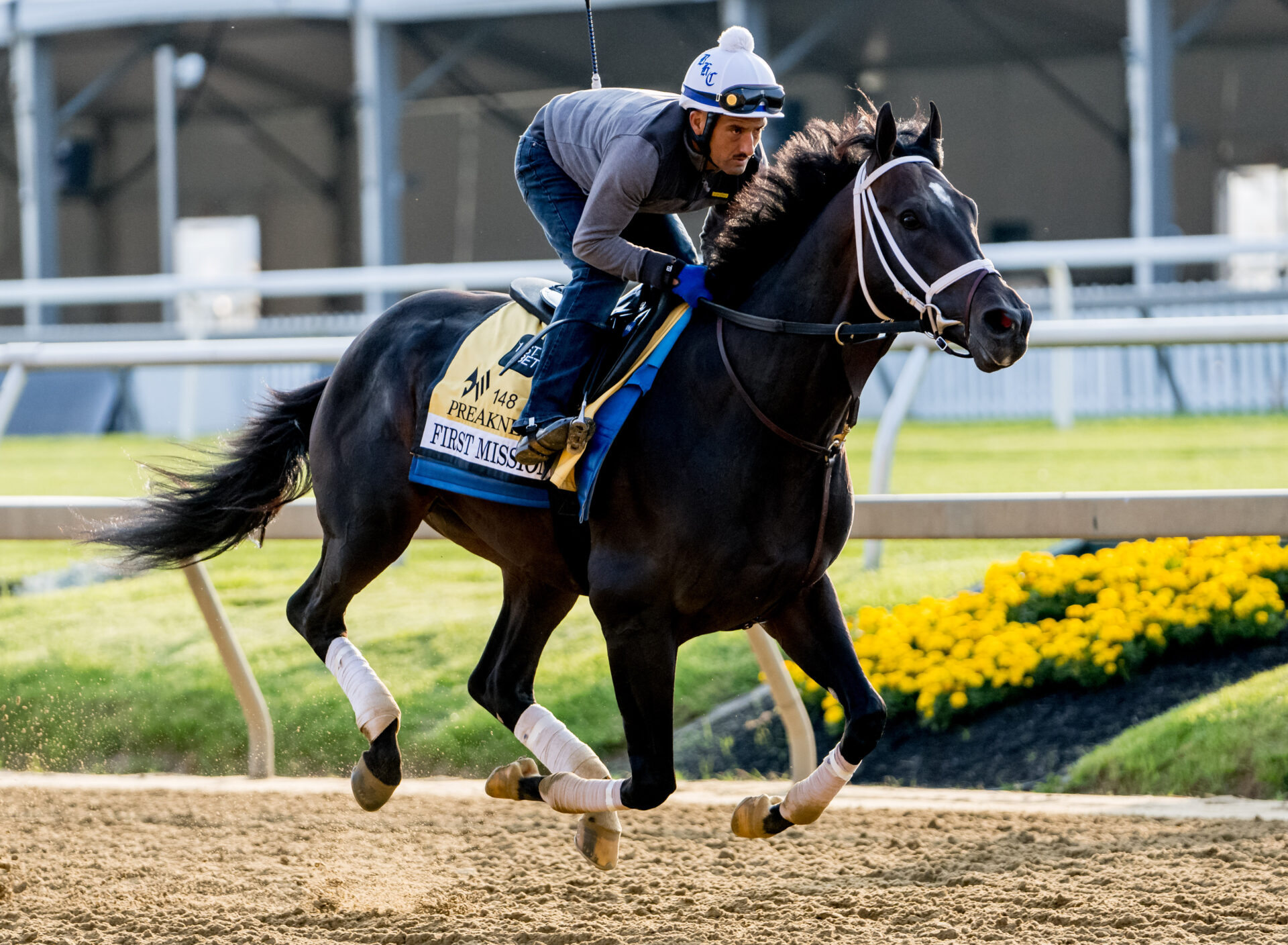 First Mission Scratched from Preakness 148 2023 Preakness Stakes News