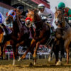 Preakness Stakes Trifecta Picks & Plays