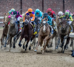 Fair odds for the Preakness: Derby winner Mage takes on a new opponent
