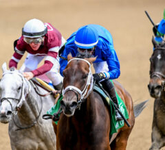 2023 Derby City Distaff Stakes Replay | Matareya Holds Off Wicked Halo, Goodnight Olive For Win