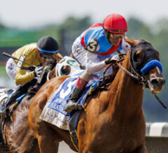 2023 Woody Stephens Stakes Replay | Arabian Lion Wins From Off The Pace; Haskell Next?