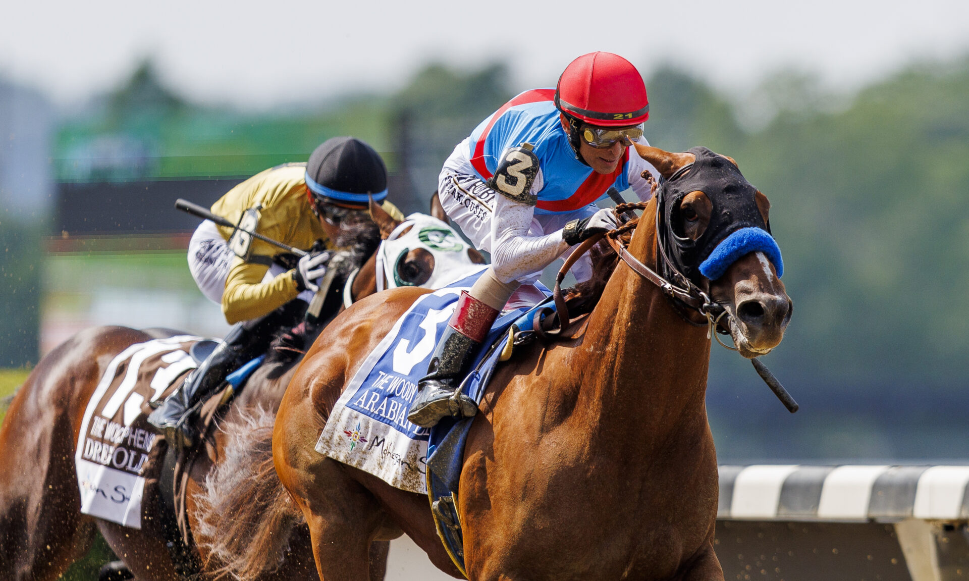 2023 Woody Stephens Stakes Replay Arabian Lion Wins From Off The Pace; Haskell Next? Racing