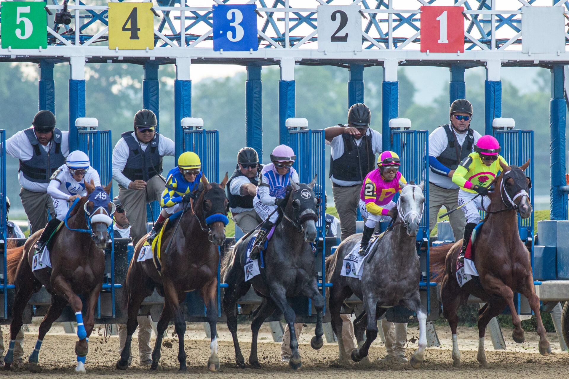 Travers Stakes 2024 Tickets Bangalore Kathy Thelma