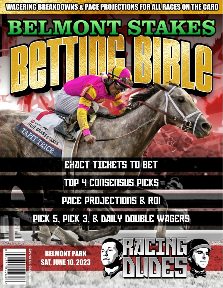 Belmont Stakes Picks
