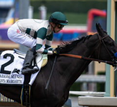 2023 Hirsch Stakes Preview & FREE Picks | Adare Manor Tops Breeders’ Cup Distaff Prep At Del Mar