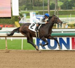 2023 Affirmed Stakes Preview & FREE Picks | Geaux Rocket Ride Returns Sunday At Santa Anita