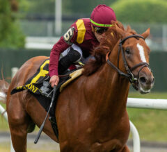 2023 King’s Plate Preview & FREE Picks | Chad Brown’s Kalik Invades Woodbine For Canadian Classic