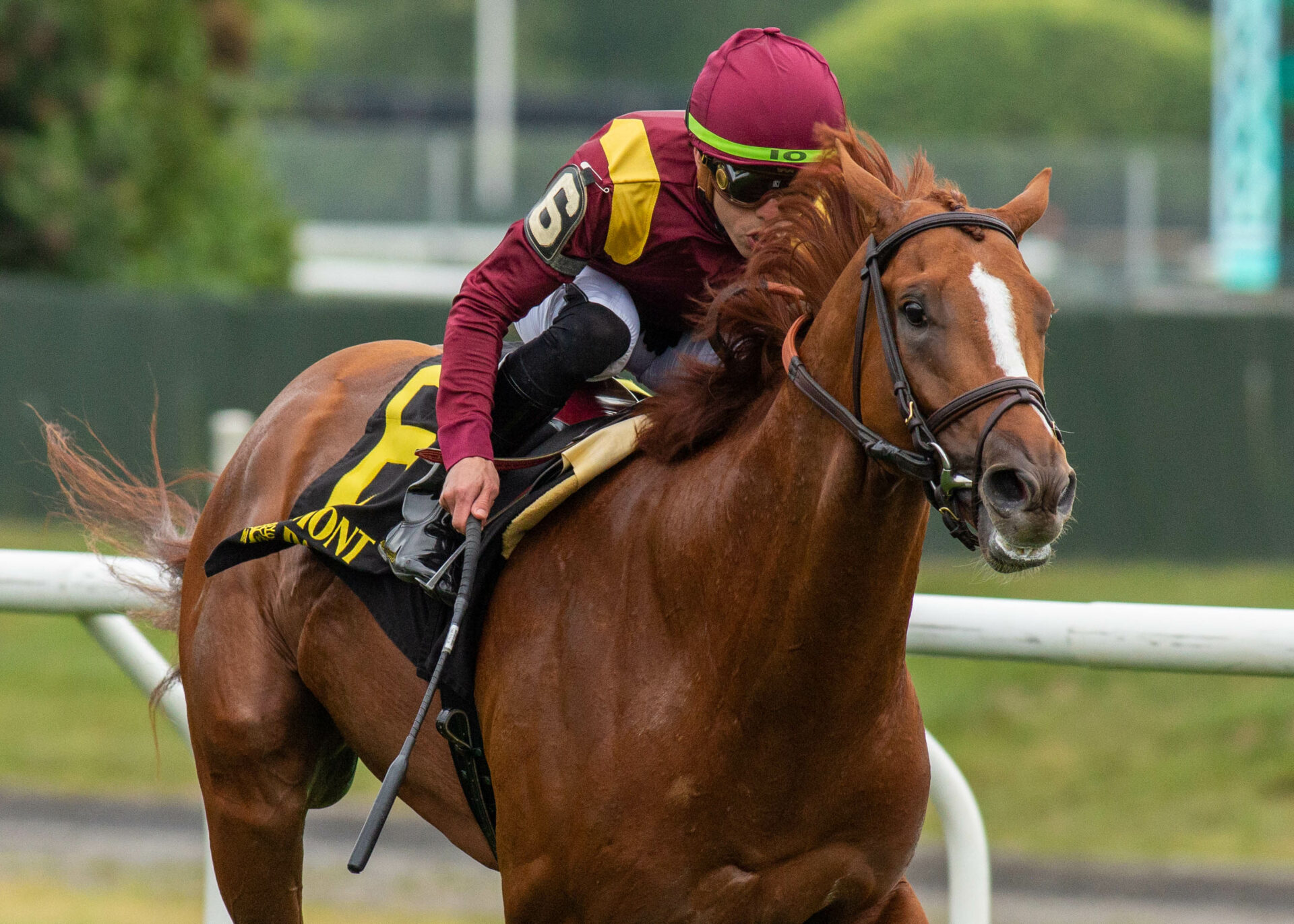 2023 King's Plate Preview & FREE Picks Chad Brown's Kalik Invades