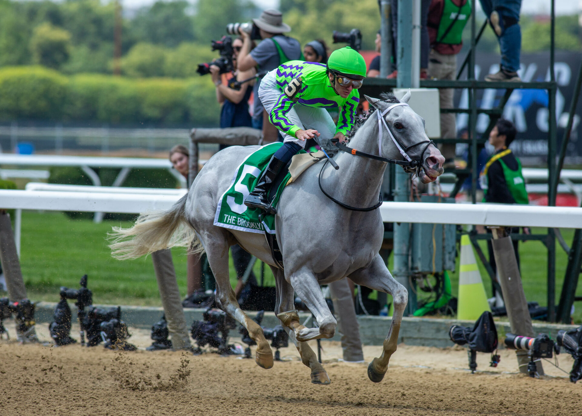 Belmont at the big a picks brooklyn stakes 2024