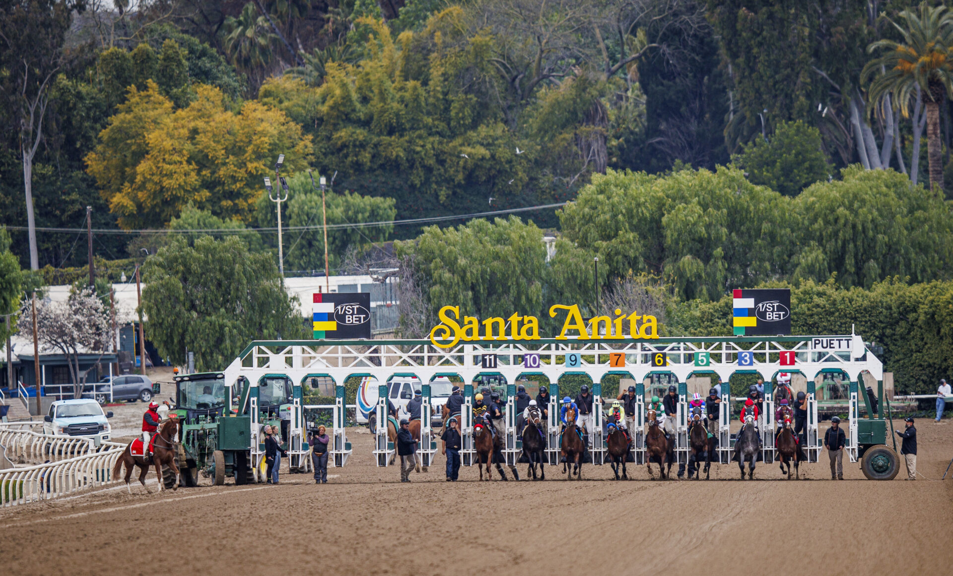 2024-kentucky-derby-picks-betting-contenders-and-results