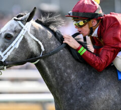 2023 Jaipur Stakes Replay | Caravel Cruises To 5th Straight Win; Can Anyone In America Stop Her?