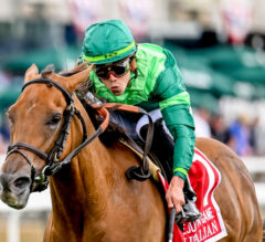 2023 Diana Stakes Preview & FREE Picks | In Italian Headlines 3 Other Chad Browns In 5-Horse Field