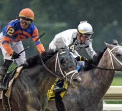 2023 Jim Dandy Stakes Replay & Analysis | Forte Wins But Controversy Ensues In Saratoga’s Feature Race