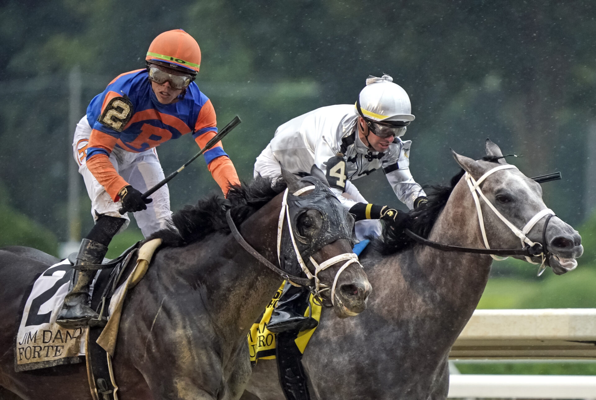 2023 Jim Dandy Stakes Replay & Analysis Forte Wins But Controversy