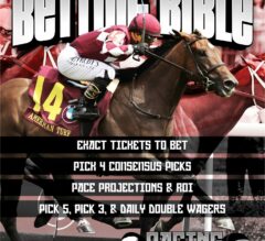 2023 Belmont Derby Betting Bible | Cash BIG With Us At Belmont Park!