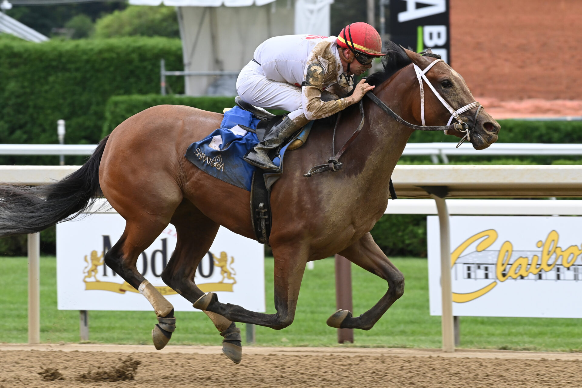 Aqueduct Picks | East View Stakes 2024