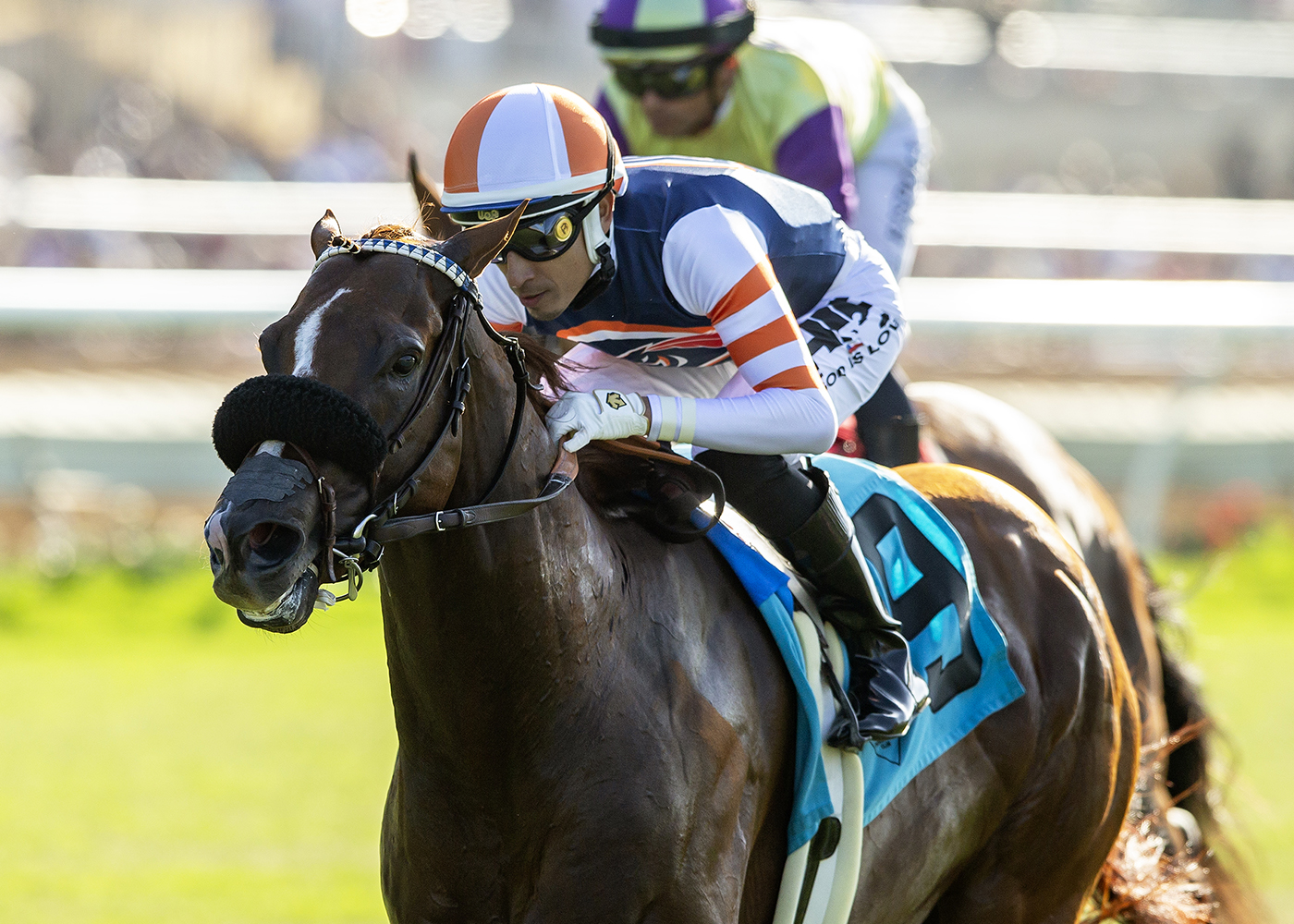 2023 Del Mar Derby Preview Conclude Carries Big Chance For 2nd Turf