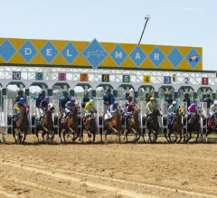 Unveiling the Top 5 Most Bet On Horse Racing Events in America