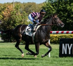 2023 De La Rose Stakes Preview | Evvie Jets Goes For 2nd Straight Win In Wednesday Feature At Saratoga