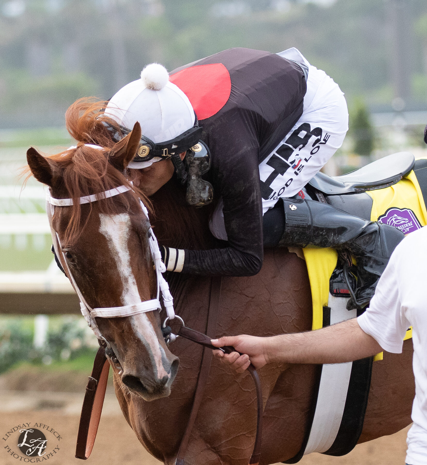 Santa Anita Park Picks San Carlos Stakes 2024   The Chosen Vron Bing Crosby Stakes Lindsay Affleck 1 