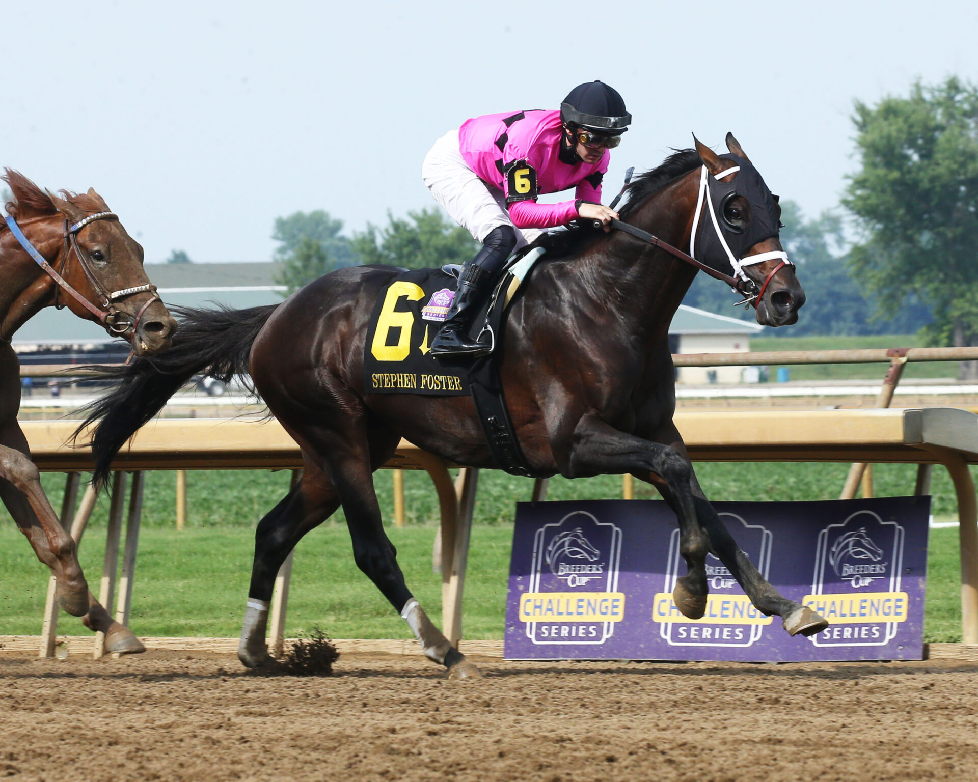 Horse Racing Division Rankings 07/03/23: West Will Power Moves Up List ...