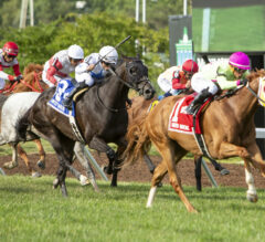 Monmouth Park Picks | Miss Liberty Stakes 2024